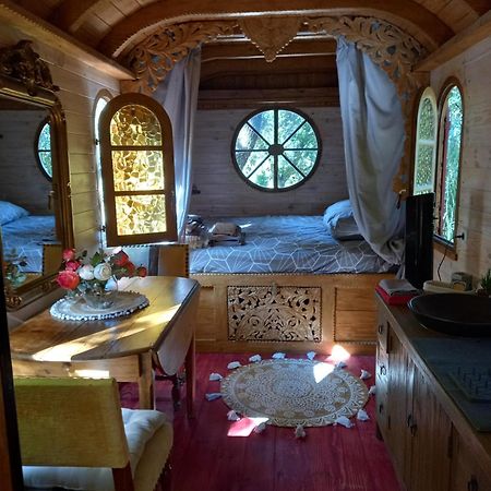 La Roulotte Du Petit Paradis Saint-Rémy-de-Provence Zewnętrze zdjęcie