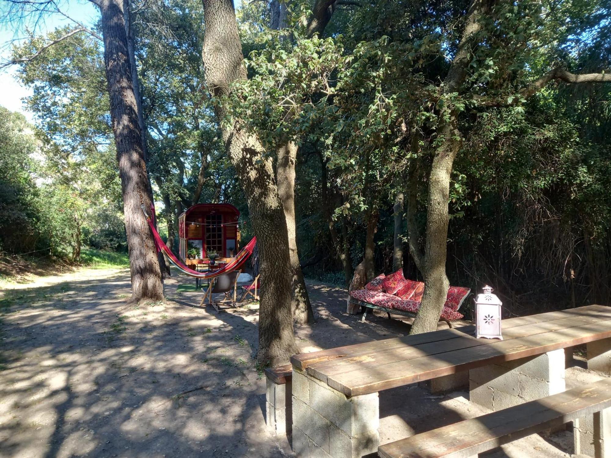 La Roulotte Du Petit Paradis Saint-Rémy-de-Provence Zewnętrze zdjęcie