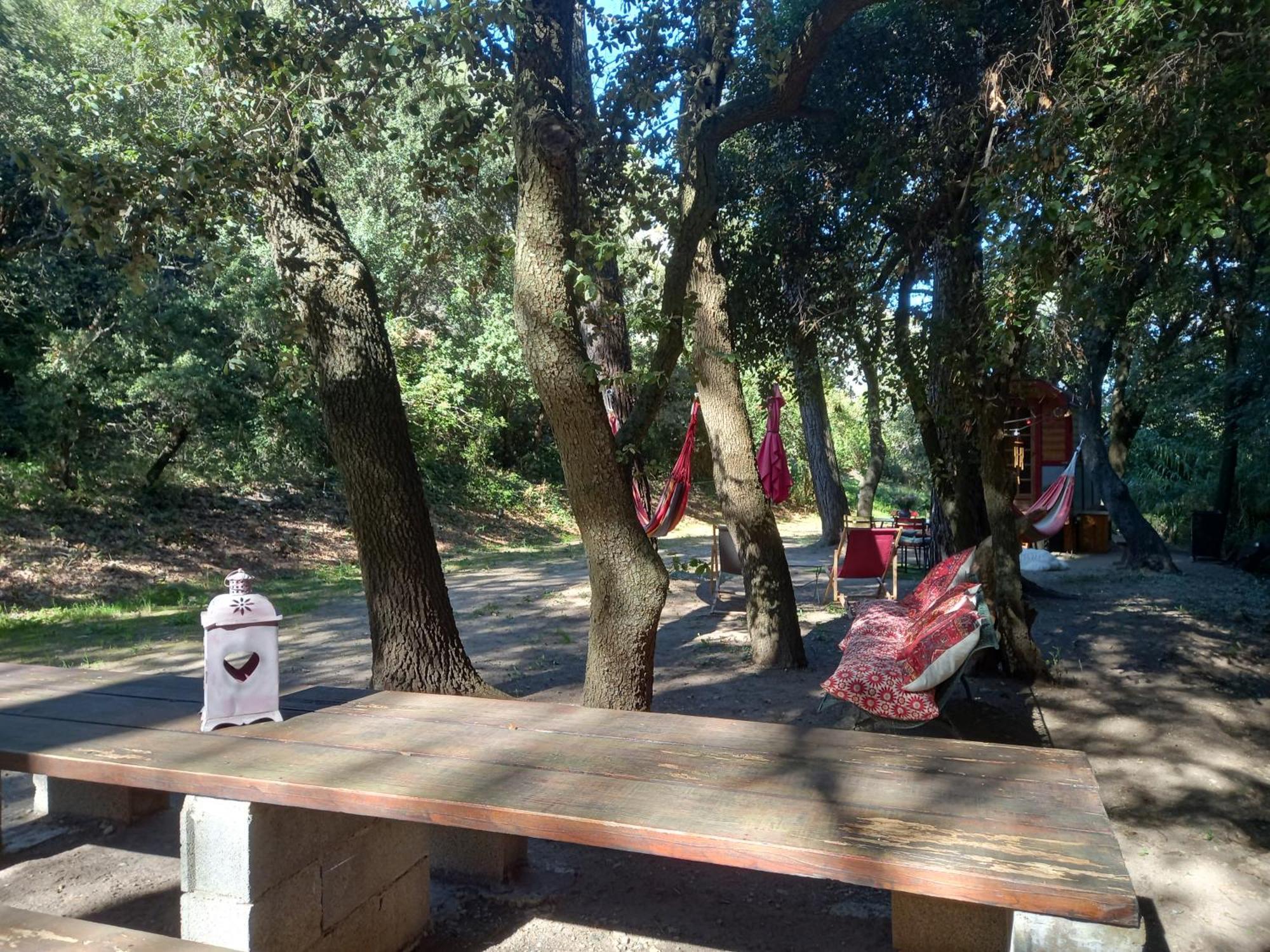 La Roulotte Du Petit Paradis Saint-Rémy-de-Provence Zewnętrze zdjęcie