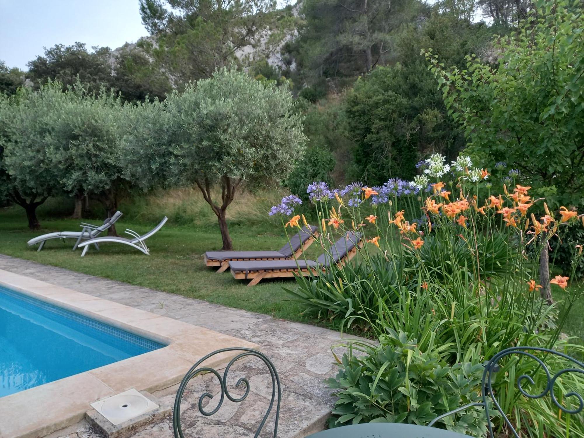 La Roulotte Du Petit Paradis Saint-Rémy-de-Provence Zewnętrze zdjęcie