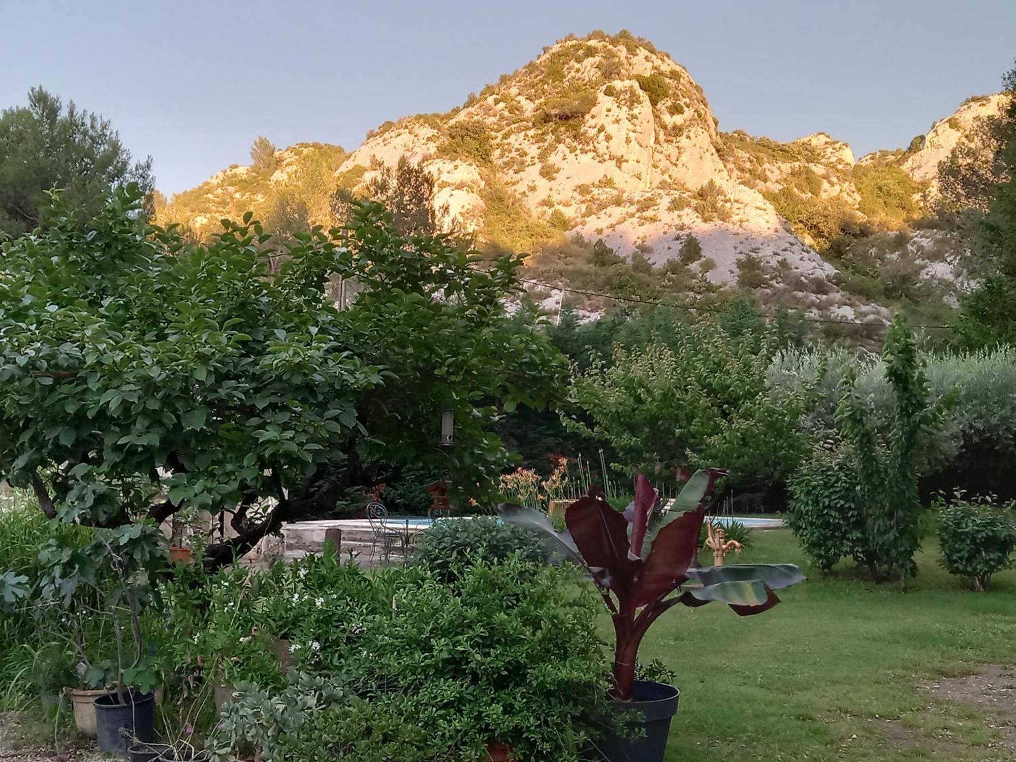 La Roulotte Du Petit Paradis Saint-Rémy-de-Provence Zewnętrze zdjęcie