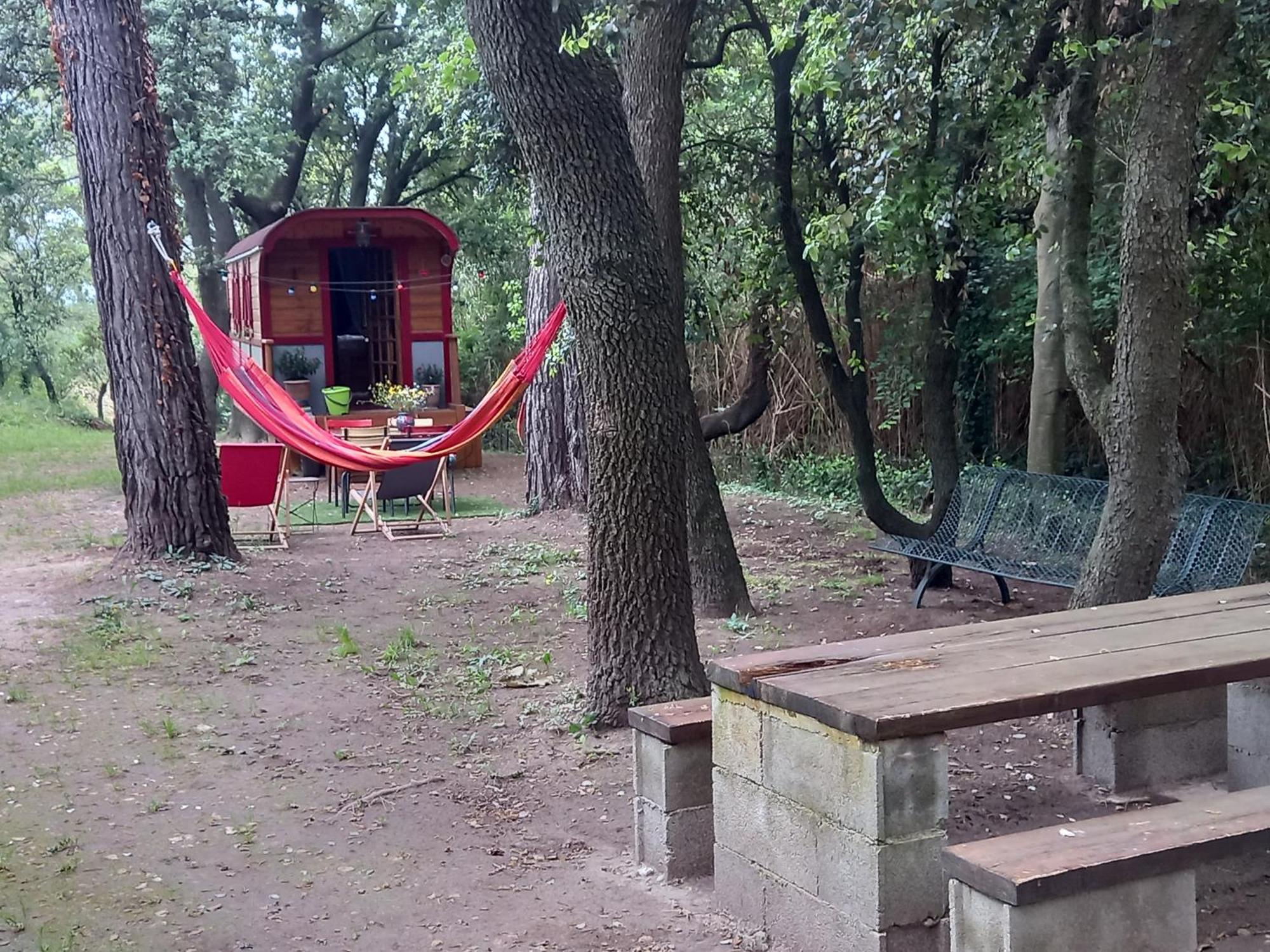 La Roulotte Du Petit Paradis Saint-Rémy-de-Provence Zewnętrze zdjęcie
