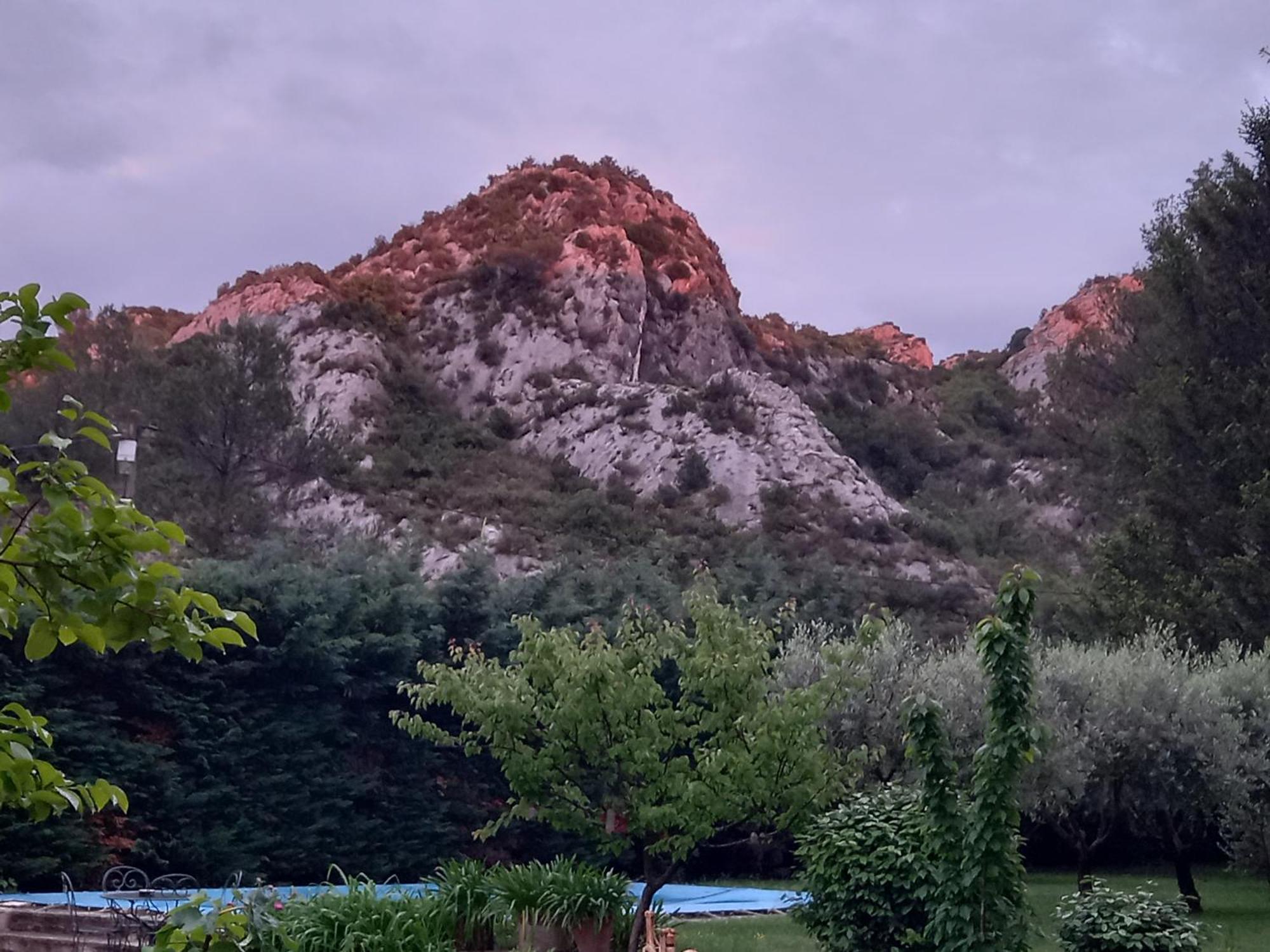 La Roulotte Du Petit Paradis Saint-Rémy-de-Provence Zewnętrze zdjęcie