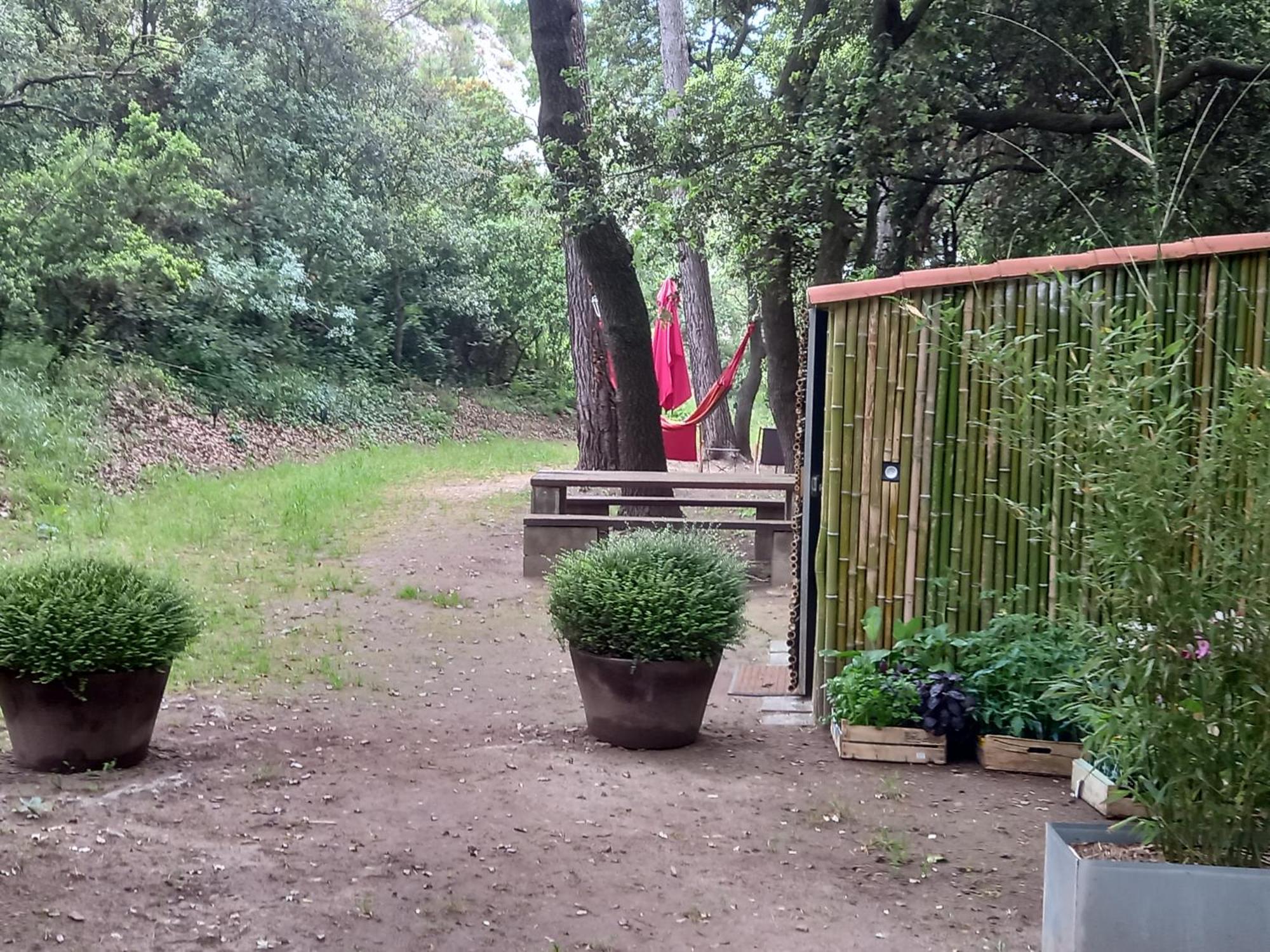 La Roulotte Du Petit Paradis Saint-Rémy-de-Provence Zewnętrze zdjęcie