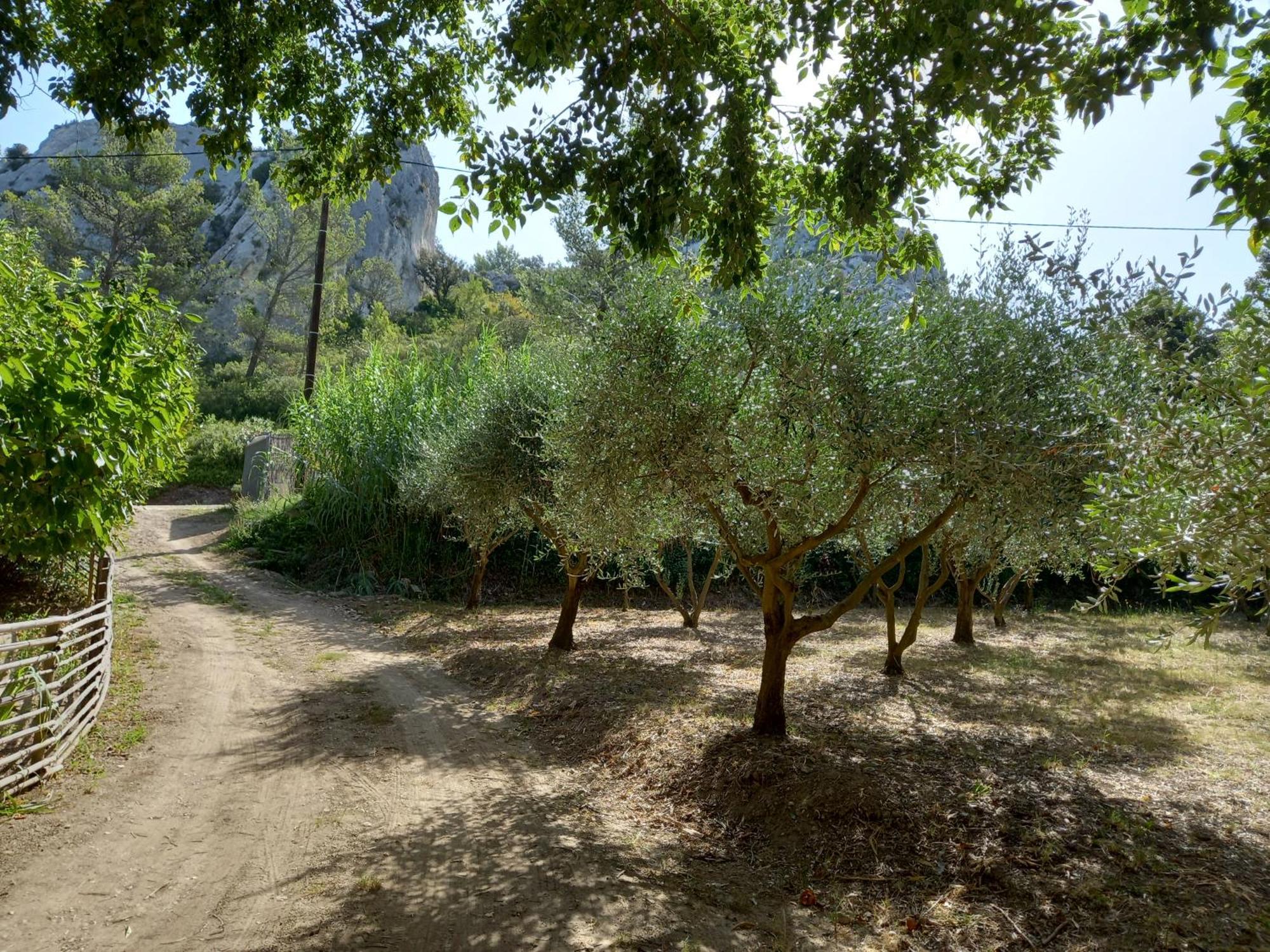 La Roulotte Du Petit Paradis Saint-Rémy-de-Provence Zewnętrze zdjęcie