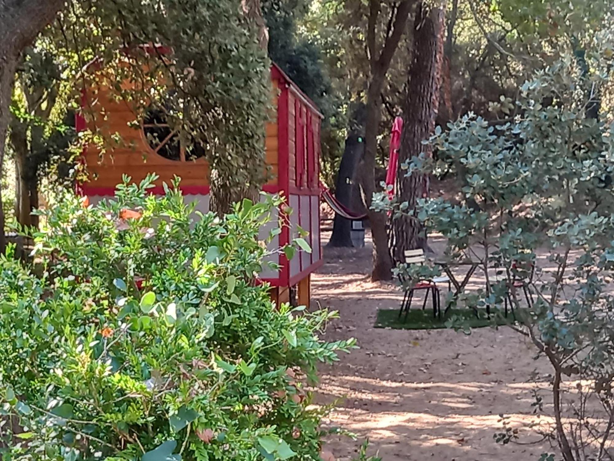 La Roulotte Du Petit Paradis Saint-Rémy-de-Provence Zewnętrze zdjęcie
