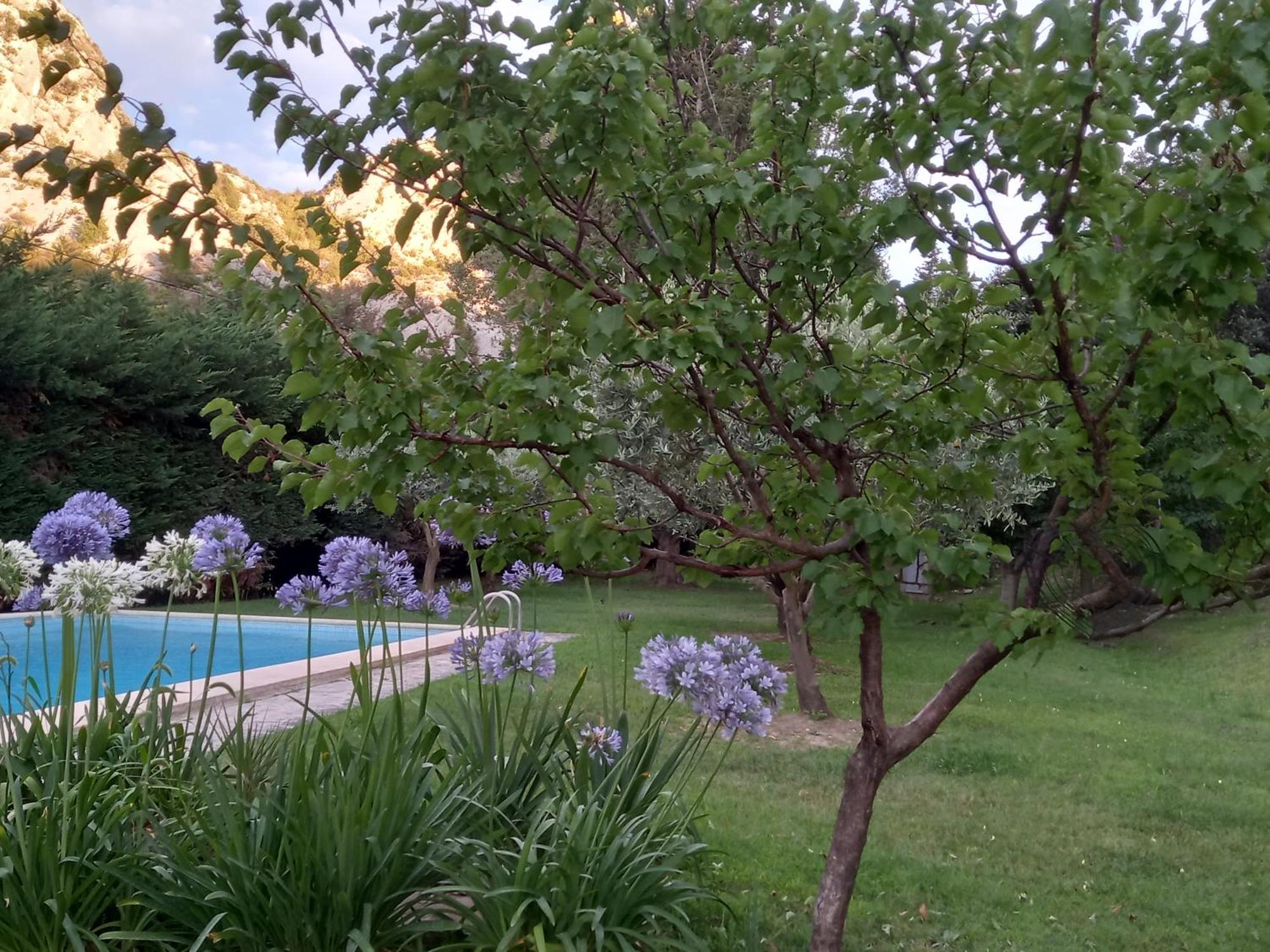 La Roulotte Du Petit Paradis Saint-Rémy-de-Provence Zewnętrze zdjęcie